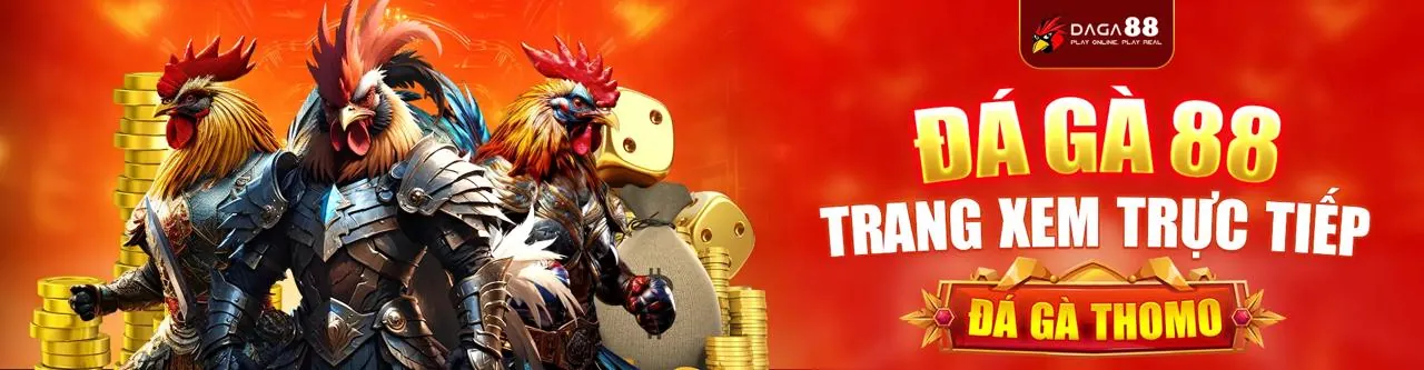 Đấu trường đá gà trực tuyến sôi động tại hz888 trang chủ chính thức