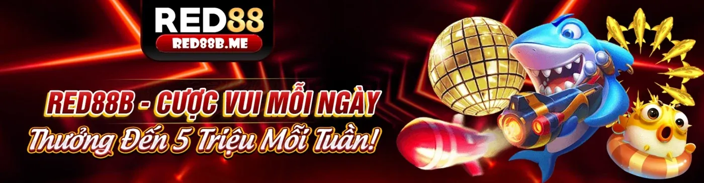 Ứng dụng hz888 trang chủ chính thức trên điện thoại